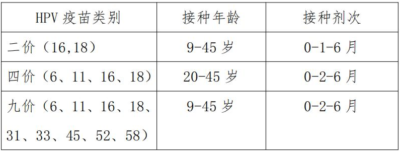 真实的hpv是阳性是什么意思的视图