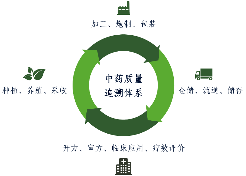 什么是优质的中药饮片？(图2)